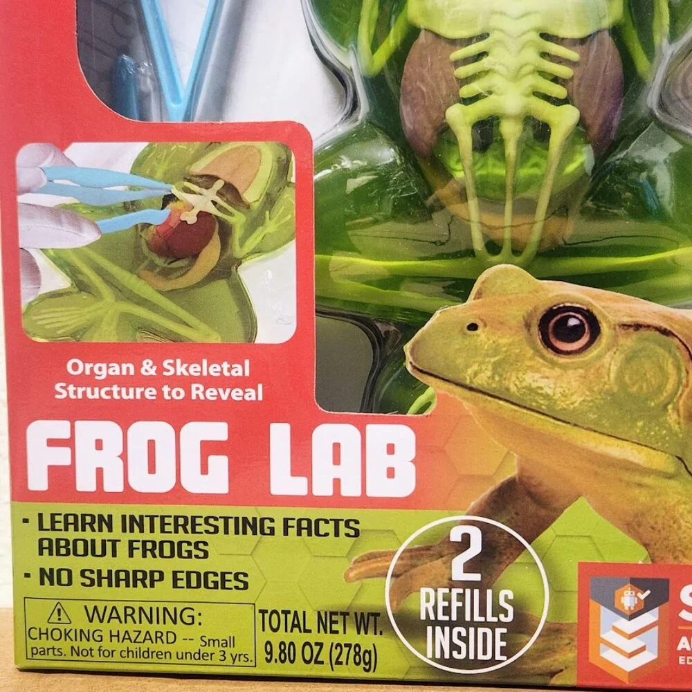 NEW Dissect-it Synthetic Lab Dissection Toy STEM KIT CRAFT Project Frog Biology